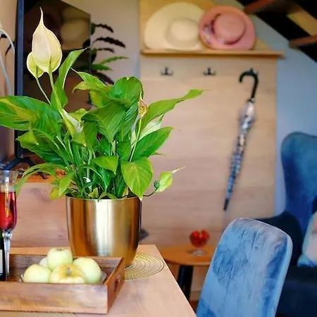 Terraced House For 5 People, 米耶伦科